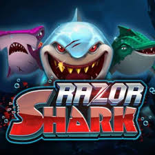 Razor Shark